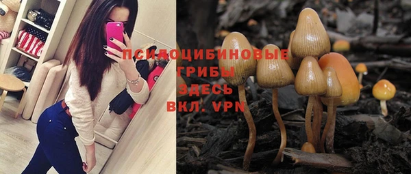 ГАЛЛЮЦИНОГЕННЫЕ ГРИБЫ Абинск