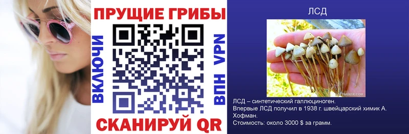 Галлюциногенные грибы ЛСД  Фёдоровский 