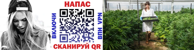 купить наркоту Фёдоровский Шишки марихуана VHQ